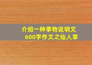 介绍一种事物说明文600字作文之仙人掌