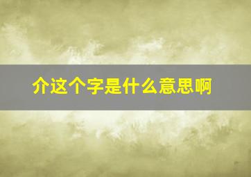 介这个字是什么意思啊