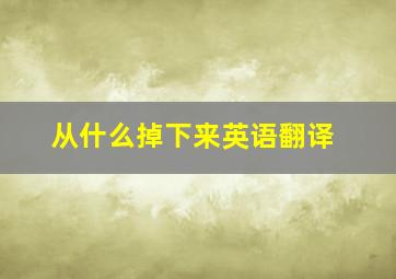 从什么掉下来英语翻译