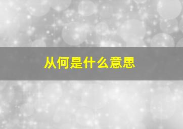 从何是什么意思