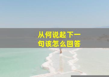 从何说起下一句该怎么回答