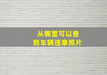 从哪里可以查到车辆违章照片