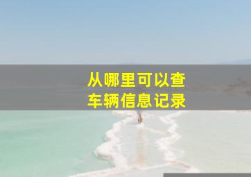 从哪里可以查车辆信息记录