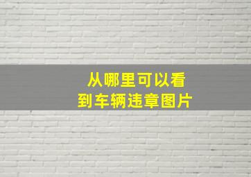 从哪里可以看到车辆违章图片