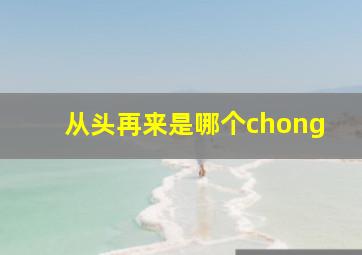 从头再来是哪个chong