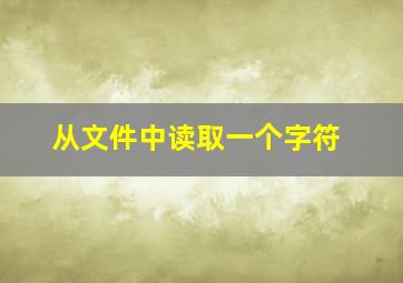 从文件中读取一个字符