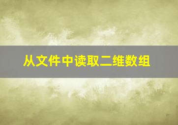 从文件中读取二维数组