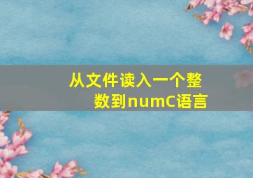 从文件读入一个整数到numC语言