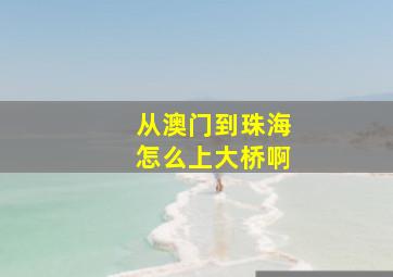 从澳门到珠海怎么上大桥啊