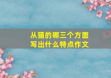 从猫的哪三个方面写出什么特点作文