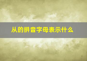 从的拼音字母表示什么