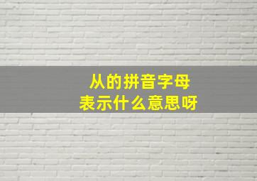 从的拼音字母表示什么意思呀