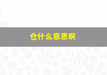 仓什么意思啊