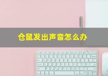 仓鼠发出声音怎么办