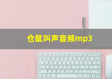 仓鼠叫声音频mp3