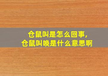 仓鼠叫是怎么回事,仓鼠叫唤是什么意思啊