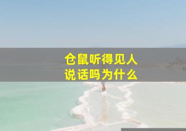 仓鼠听得见人说话吗为什么