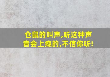 仓鼠的叫声,听这种声音会上瘾的,不信你听!