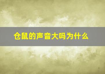 仓鼠的声音大吗为什么