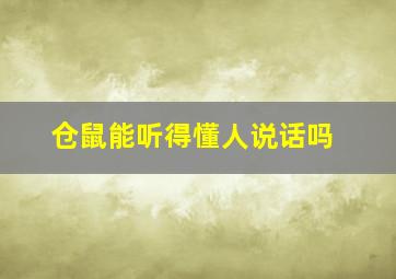 仓鼠能听得懂人说话吗