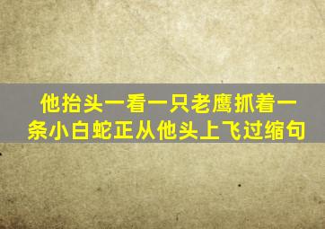 他抬头一看一只老鹰抓着一条小白蛇正从他头上飞过缩句