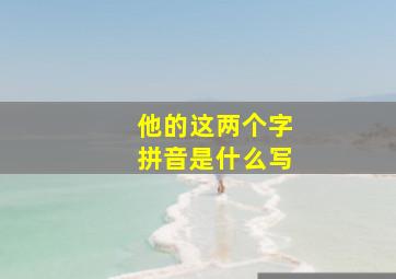 他的这两个字拼音是什么写