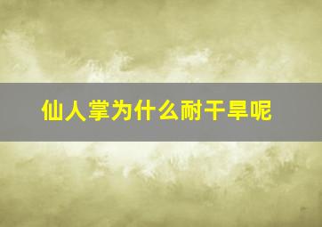 仙人掌为什么耐干旱呢