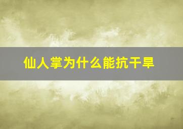 仙人掌为什么能抗干旱