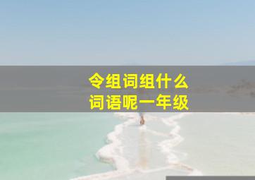 令组词组什么词语呢一年级