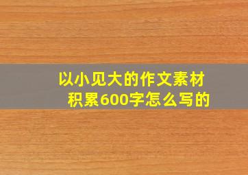 以小见大的作文素材积累600字怎么写的