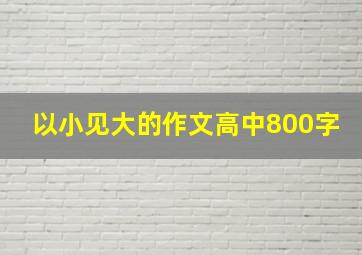 以小见大的作文高中800字