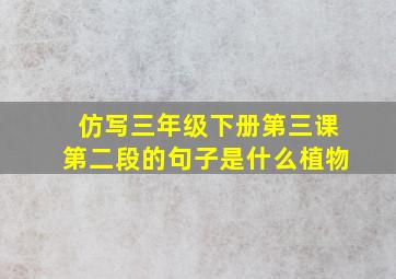 仿写三年级下册第三课第二段的句子是什么植物