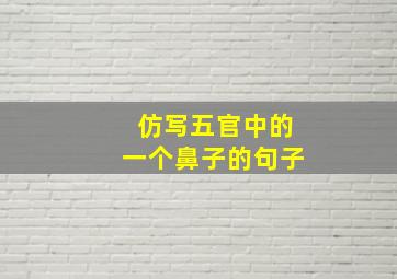 仿写五官中的一个鼻子的句子