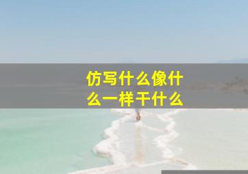 仿写什么像什么一样干什么