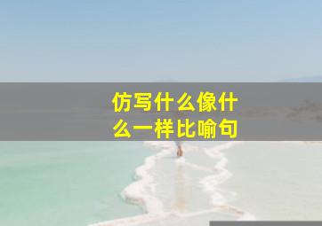 仿写什么像什么一样比喻句