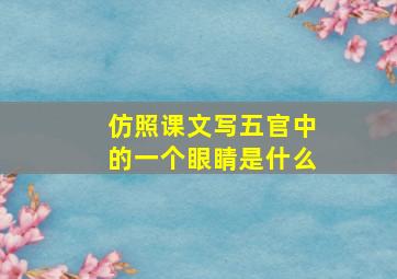 仿照课文写五官中的一个眼睛是什么