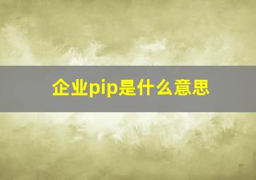 企业pip是什么意思