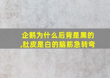 企鹅为什么后背是黑的,肚皮是白的脑筋急转弯