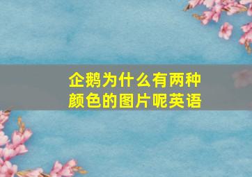 企鹅为什么有两种颜色的图片呢英语