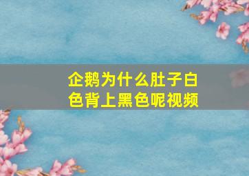 企鹅为什么肚子白色背上黑色呢视频