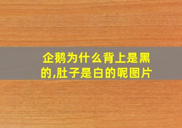 企鹅为什么背上是黑的,肚子是白的呢图片