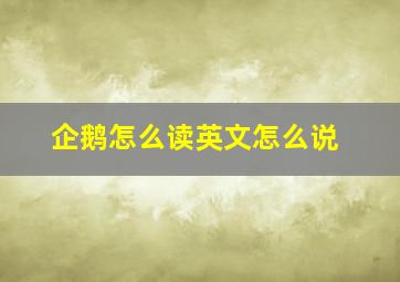 企鹅怎么读英文怎么说