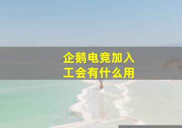 企鹅电竞加入工会有什么用