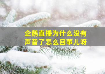 企鹅直播为什么没有声音了怎么回事儿呀