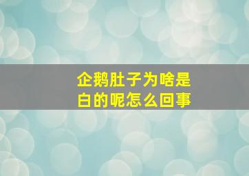 企鹅肚子为啥是白的呢怎么回事