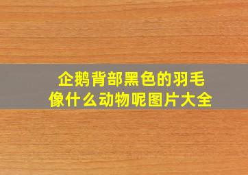 企鹅背部黑色的羽毛像什么动物呢图片大全