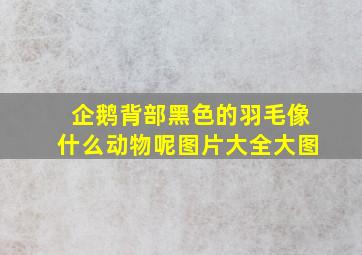 企鹅背部黑色的羽毛像什么动物呢图片大全大图