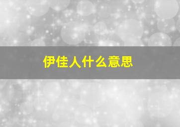 伊佳人什么意思