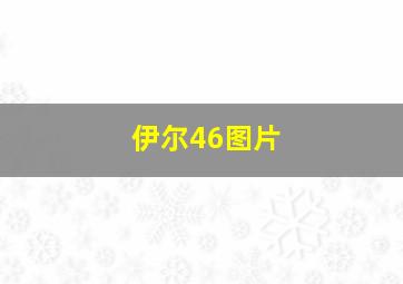 伊尔46图片