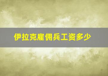 伊拉克雇佣兵工资多少